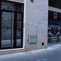 graffitti del gatoCN agua al cuello